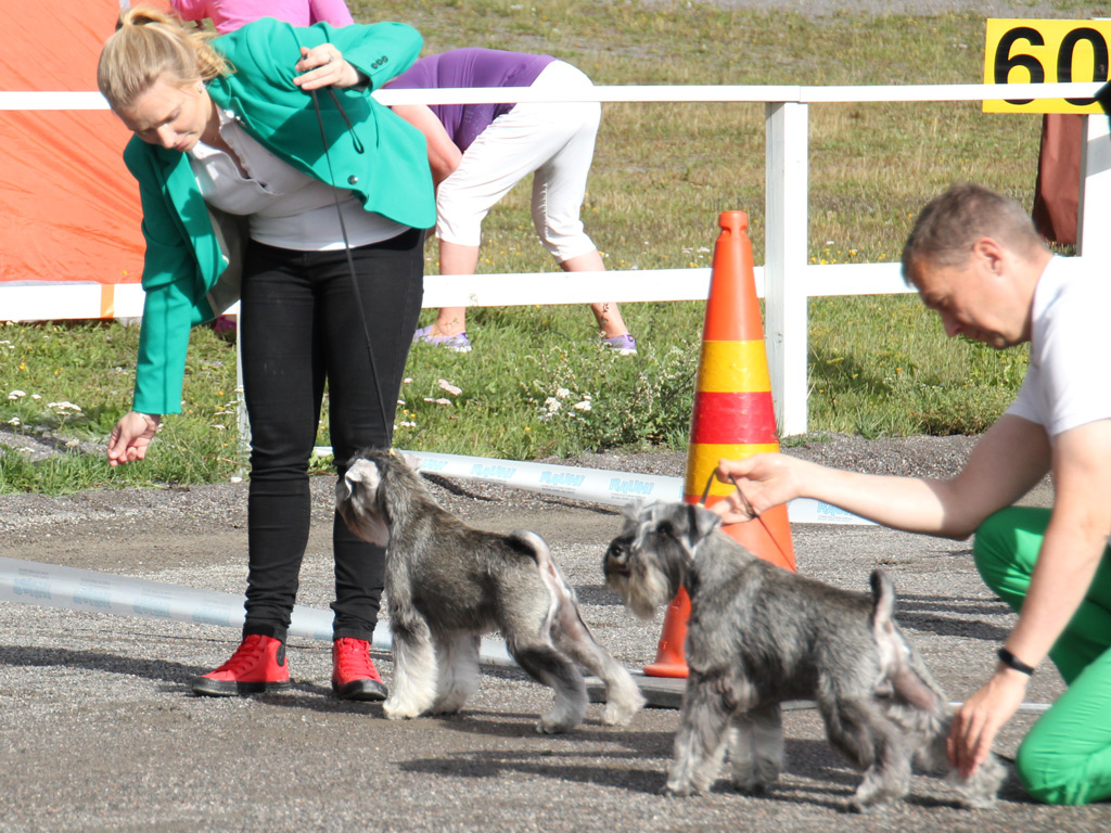 Imbrez Just Don't Get It and Imbrez Womanizer at Turku